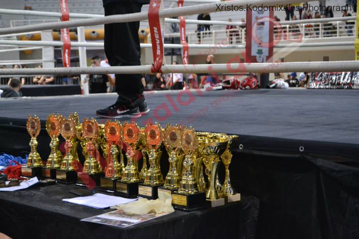 INTERNATIONAL FIGHT CLUB OPEN2017 9