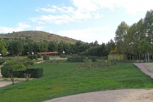 Μια βόλτα στο Άλσος θα σας πείσει... ότι αποτελεί το κόσμημα της Αθήνας!!! Δείτε το video...