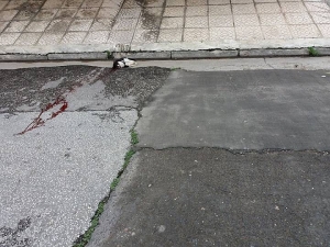 Καλό ταξίδι φίλε μας...