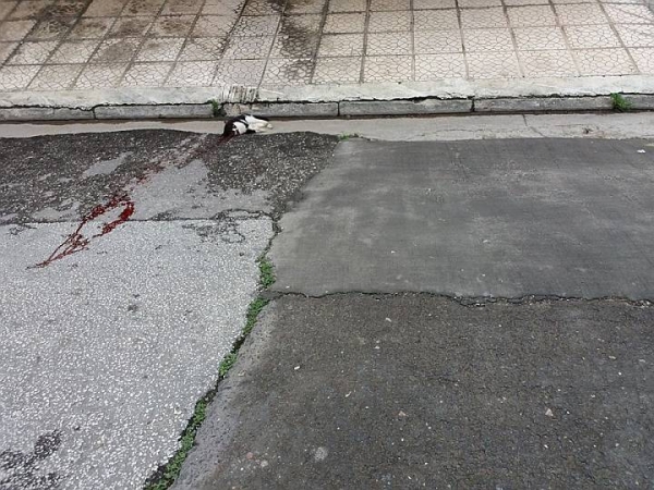Καλό ταξίδι φίλε μας...