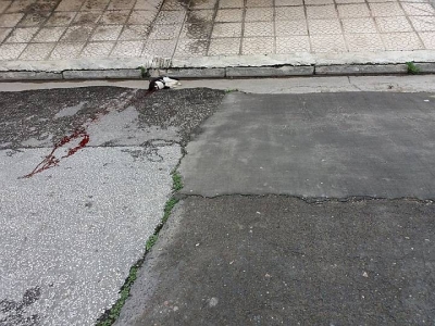 Καλό ταξίδι φίλε μας...