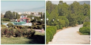 Το Άλσος Βεΐκου και το Αττικό Άλσος...δεν είναι στους 8 ιδανικούς καταπράσινους προορισμούς της Αττικής για οικογενειακές εκδρομές