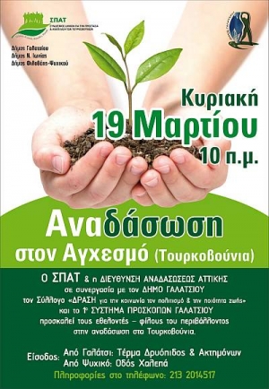Αναδάσωση στα Τουρκοβούνια
