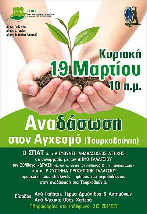 Αναδάσωση στα Τουρκοβούνια