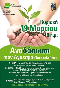 Αναδάσωση στα Τουρκοβούνια